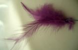 <img0*100:stuff/z/61513/Feather%2520Stock%2520by%2520Squee/FeathersSquee%20(3).JPG>