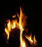 <img84*0:stuff/z/61513/Fire%2520Reference%2520Pictures/IMGP0958.JPG>