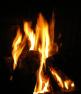 <img81*0:stuff/z/61513/Fire%2520Reference%2520Pictures/IMGP0959.JPG>