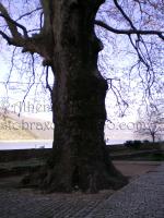 <img0*200:stuff/z/61513/Ioannina/IMGP0239.JPG>
