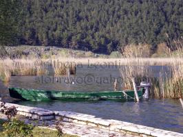 <img0*200:stuff/z/61513/Ioannina/IMGP0251.JPG>