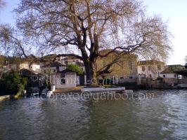 <img0*200:stuff/z/61513/Ioannina/IMGP0273.JPG>