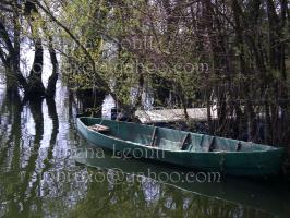 <img0*200:stuff/z/61513/Ioannina/IMGP0373.JPG>