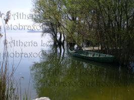 <img0*200:stuff/z/61513/Ioannina/IMGP0374.JPG>