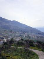 <img0*200:stuff/z/61513/Ioannina/IMGP0431.JPG>