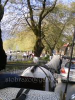 <img0*200:stuff/z/61513/Ioannina/IMGP0559.JPG>