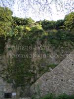 <img0*200:stuff/z/61513/Ioannina/IMGP0568.JPG>