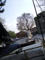 <img0*200:stuff/z/61513/Ioannina/IMGP0576.JPG>