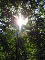 <img0*200:stuff/z/61513/Konitsa%25202009/Konitsa2009%20%2875%29.JPG>