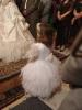 <img0*100:stuff/z/61513/My%2520big%2520fat%2520greek%2520wedding/DSC01765.JPG>