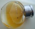 <img0*100:stuff/z/61513/Perfume%2520Bottles%2520by%2520Squee/PerfumeBottle_Squee%20(12).JPG>