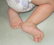 <img0*150:stuff/z/61513/bbft/IMGP4096.JPG>