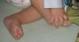 <img0*150:stuff/z/61513/bbft/IMGP4097.JPG>