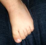 <img0*150:stuff/z/61513/bbft/IMGP4100.JPG>