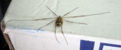 <img0*100:stuff/z/61513/epr/IMGP4041.JPG>