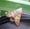 <img0*100:stuff/z/61513/epr/IMGP4051.JPG>