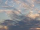 <img0*100:stuff/z/61513/epr/IMG_0716.JPG>
