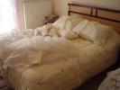 <img0*100:stuff/z/61513/ji/P4020022.JPG>