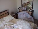 <img0*100:stuff/z/61513/ji/P4020024.JPG>