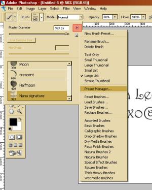 <img300*0:stuff/z/61513/jit/brushtut4.jpg>