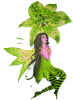 <img0*100:stuff/z/61513/jit/fairytl9.png>