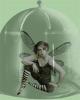 <img0*100:stuff/z/61513/jit/trapped-fairyhouse.jpg>