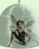 <img0*100:stuff/z/61513/jit/trapped-fairywiki.jpg>