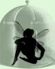<img0*100:stuff/z/61513/jit/trapped-fairywiki2.jpg>