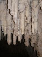 <img0*200:stuff/z/61513/jitt/IMGP0411.JPG>
