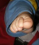 <img0*150:stuff/z/61513/jitt/IMGP4110.JPG>