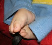 <img0*150:stuff/z/61513/jitt/IMGP4125.JPG>