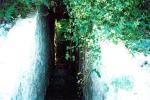 <img0*100:stuff/z/61513/jittbg/Cave%20Background%20(1).jpg>