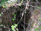 <img0*100:stuff/z/61513/jittbg/Cave%20Background.jpg>