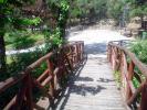 <img0*100:stuff/z/61513/jittbg/forest%20bg%20(4).jpg>