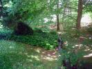 <img0*100:stuff/z/61513/jittbg/forest%20bg%20(5).jpg>