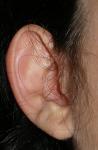 <img0*150:stuff/z/61513/jittery/Earsjitter2.jpg>