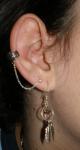 <img0*150:stuff/z/61513/jittery/Earsjitter4.jpg>