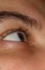 <img0*100:stuff/z/61513/jittery/Eyejitter2.jpg>
