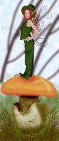 <img0*200:stuff/z/61513/jitti/Leprefairy.jpg>