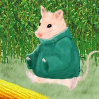 <img0*200:stuff/z/61513/jitti/ewmousey.jpg>