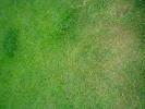<img0*100:stuff/z/61513/jitttxtrs/Textures%20(7).jpg>