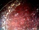 <img0*100:stuff/z/61513/jitttxtrs/Textures%20(8).jpg>