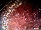 <img135*0:stuff/z/61513/jitttxtrs/Textures%20(8).jpg>