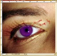 <img200*0:stuff/z/61513/jpm/eyes3.jpg>