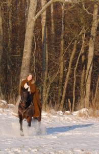 <img0*300:stuff/z/61691/Beautiful%2520Crow%2520in%2520snow/DSC_0035uktu.jpg>