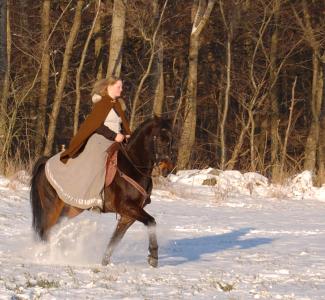 <img0*300:stuff/z/61691/Beautiful%2520Crow%2520in%2520snow/DSC_0038.jpg>