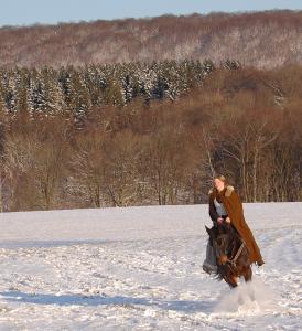 <img0*300:stuff/z/61691/Beautiful%2520Crow%2520in%2520snow/DSC_004hh8.jpg>