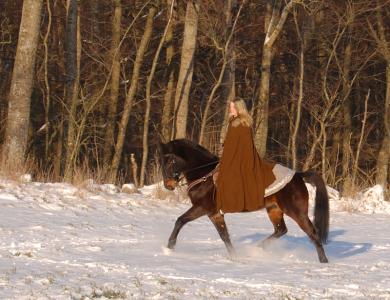 <img0*300:stuff/z/61691/Beautiful%2520Crow%2520in%2520snow/DSC_0061.jpg>