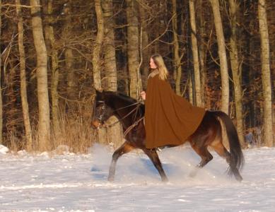 <img0*300:stuff/z/61691/Beautiful%2520Crow%2520in%2520snow/DSC_0129.jpg>