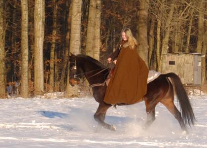 <img0*300:stuff/z/61691/Beautiful%2520Crow%2520in%2520snow/DSC_0202.jpg>